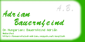 adrian bauernfeind business card
